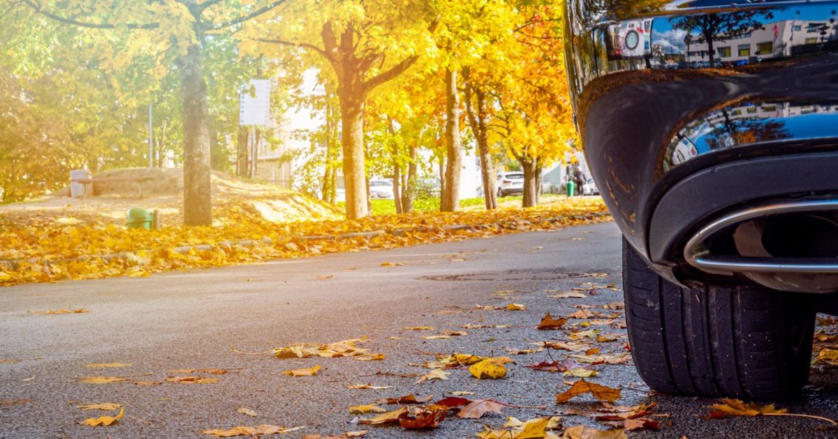 Gefahren im Herbst: So bist du im Auto sicher unterwegs 